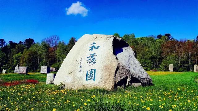 月光影视