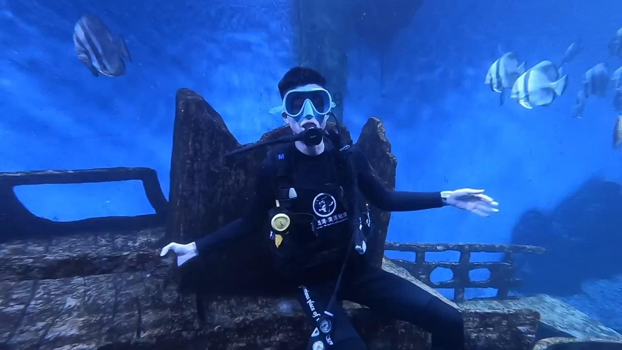 动物帮帮忙保卫家园